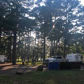 Review photo of Russellville Campground — Lake Dardanelle State Park by Mandi R., August 8, 2020
