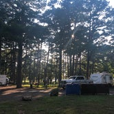 Review photo of Russellville Campground — Lake Dardanelle State Park by Mandi R., August 8, 2020