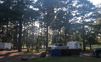 Mandi R.'s photo at Russellville Campground — Lake Dardanelle State Park near Hector, AR