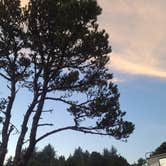 Review photo of South Beach State Park Campground by Brian P., August 8, 2020