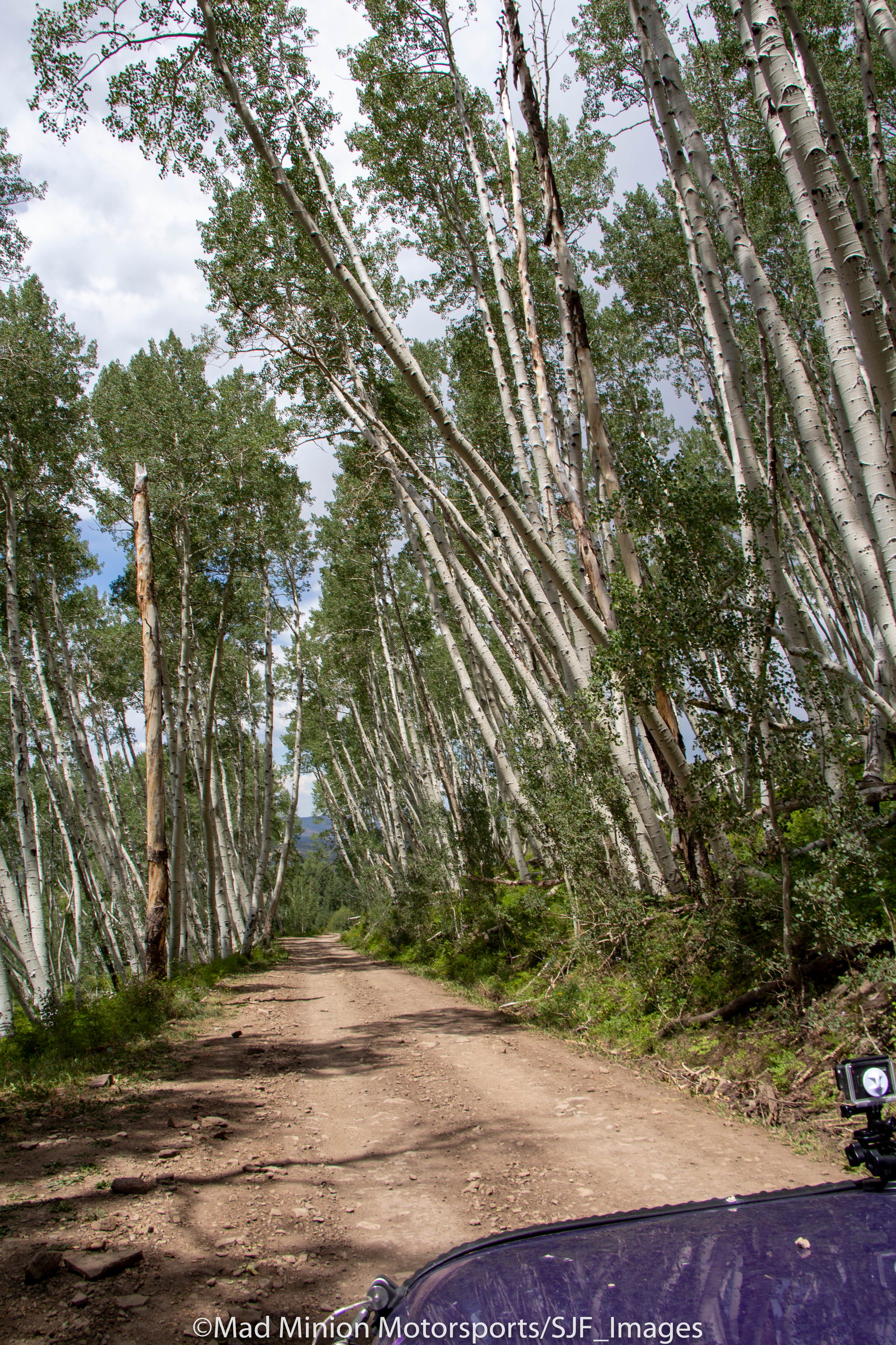 Camper-submitted photo at Pa-Co-Chu-Puk Campground — Ridgway State Park near Ridgway, CO