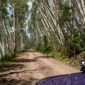 Review photo of Pa-Co-Chu-Puk Campground — Ridgway State Park by John F., August 8, 2020