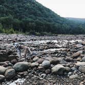 Review photo of Crawford Notch Campground by Jamie C., April 19, 2018