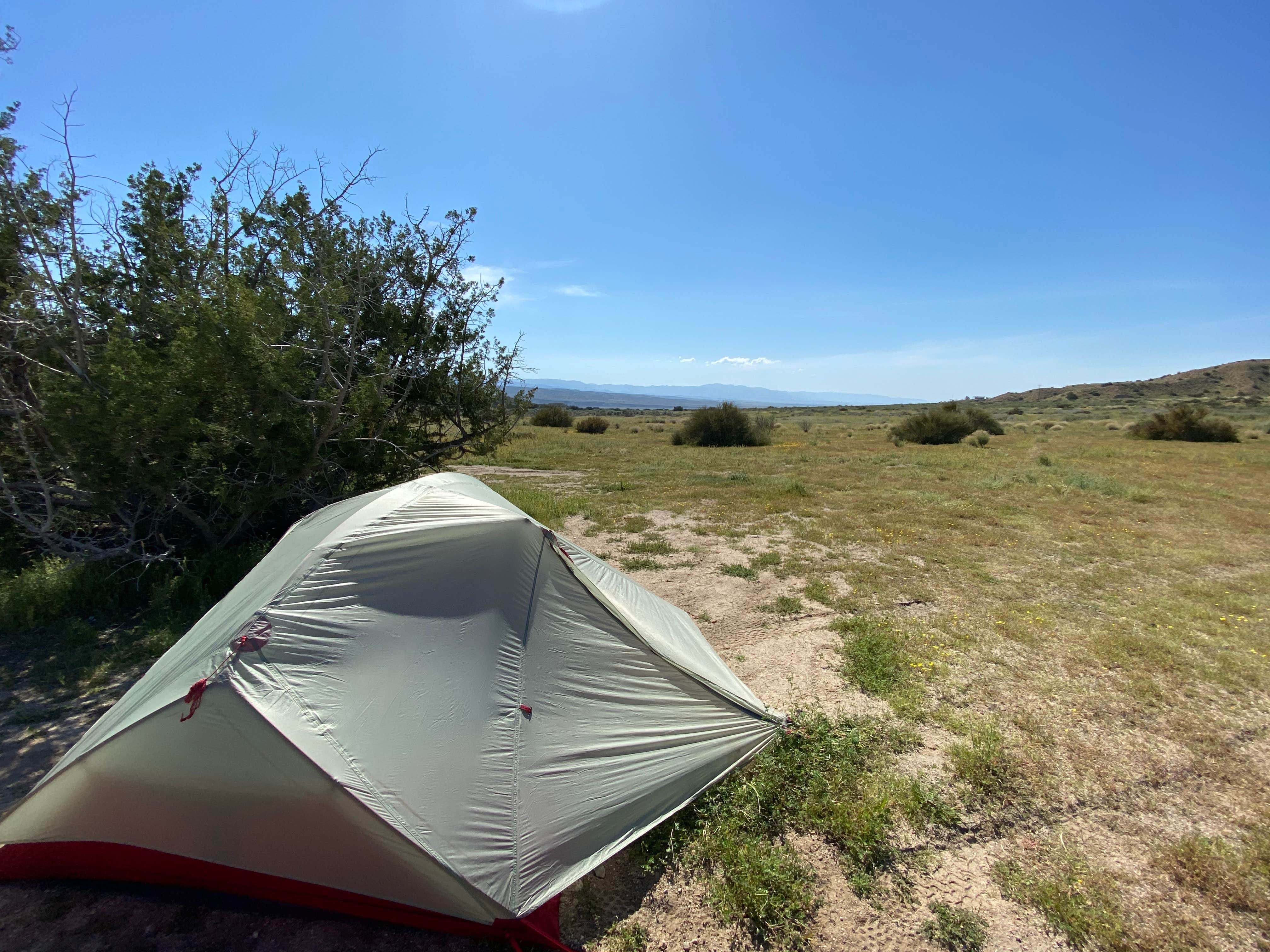 Esther Y.'s photo at Songdog Ranch near New Cuyama, CA