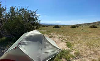 Esther Y.'s photo at Songdog Ranch near Los Padres National Forest