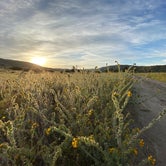 Review photo of Songdog Ranch by Esther Y., August 8, 2020