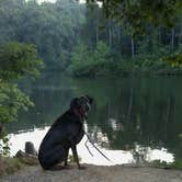 Review photo of Forked Run State Park Campground by Michelle D., April 19, 2018