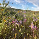 Review photo of Songdog Ranch by Esther Y., August 8, 2020