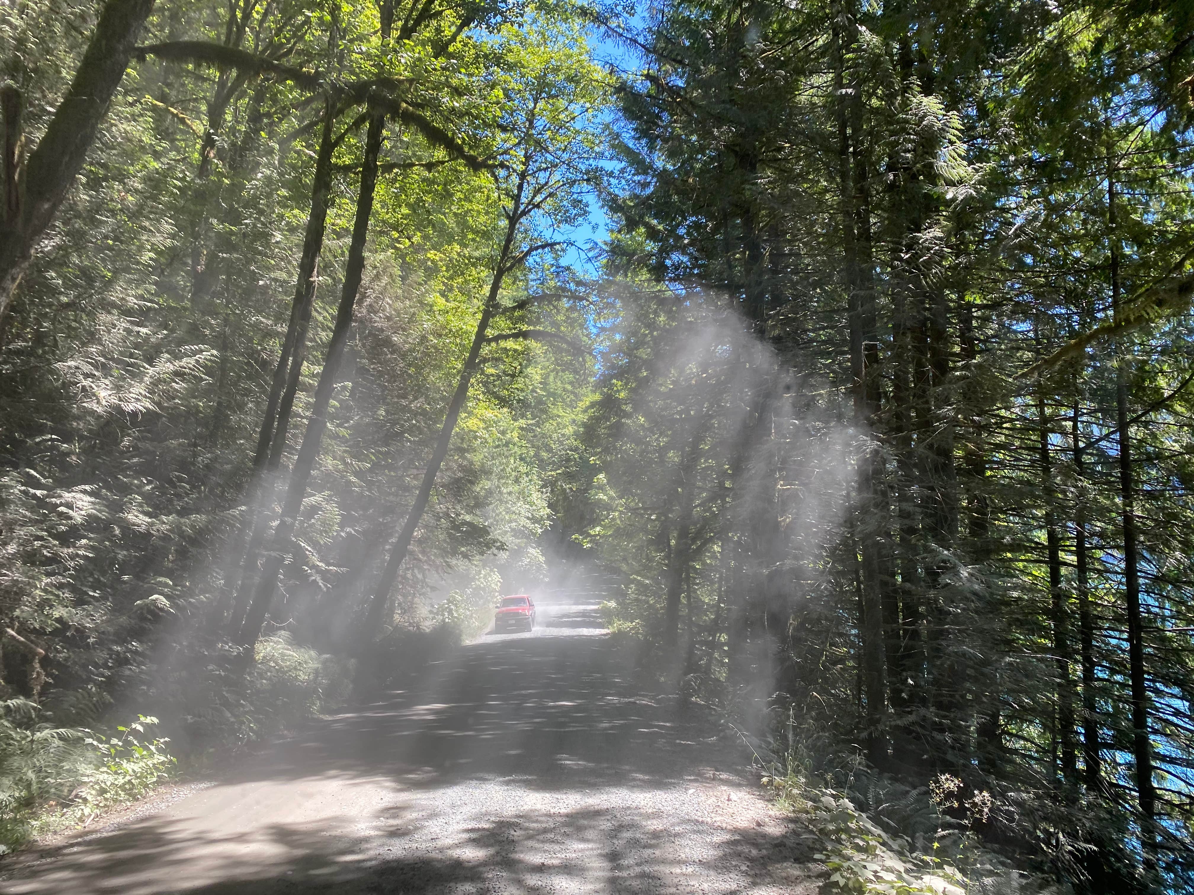 Camper submitted image from Boulder Creek Campground - 3