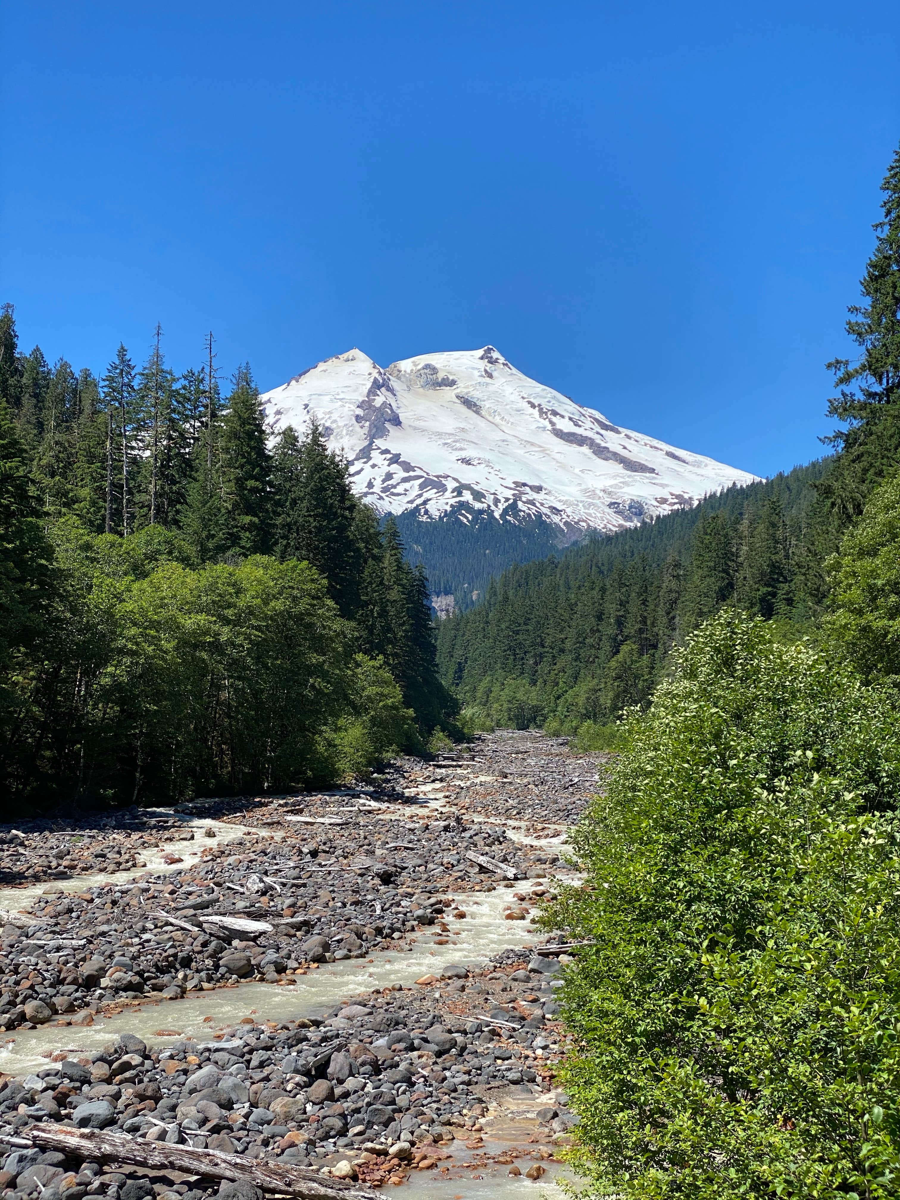 Camper submitted image from Boulder Creek Campground - 1