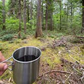 Review photo of Goodell Creek Campground — Ross Lake National Recreation Area by Esther Y., August 8, 2020