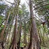 Review photo of Goodell Creek Campground — Ross Lake National Recreation Area by Esther Y., August 8, 2020