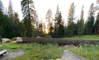 Camping near Lower Blue Lake Campground: Quaking Aspen Campground, Markleeville, California