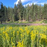 Review photo of Grover Hot Springs State Park Campground by Esther Y., August 8, 2020