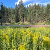 Review photo of Quaking Aspen Campground by Esther Y., August 8, 2020