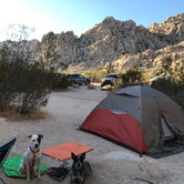 Review photo of Indian Cove Campground — Joshua Tree National Park by Esther Y., August 8, 2020
