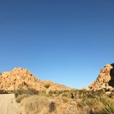 Review photo of Indian Cove Campground — Joshua Tree National Park by Esther Y., August 8, 2020