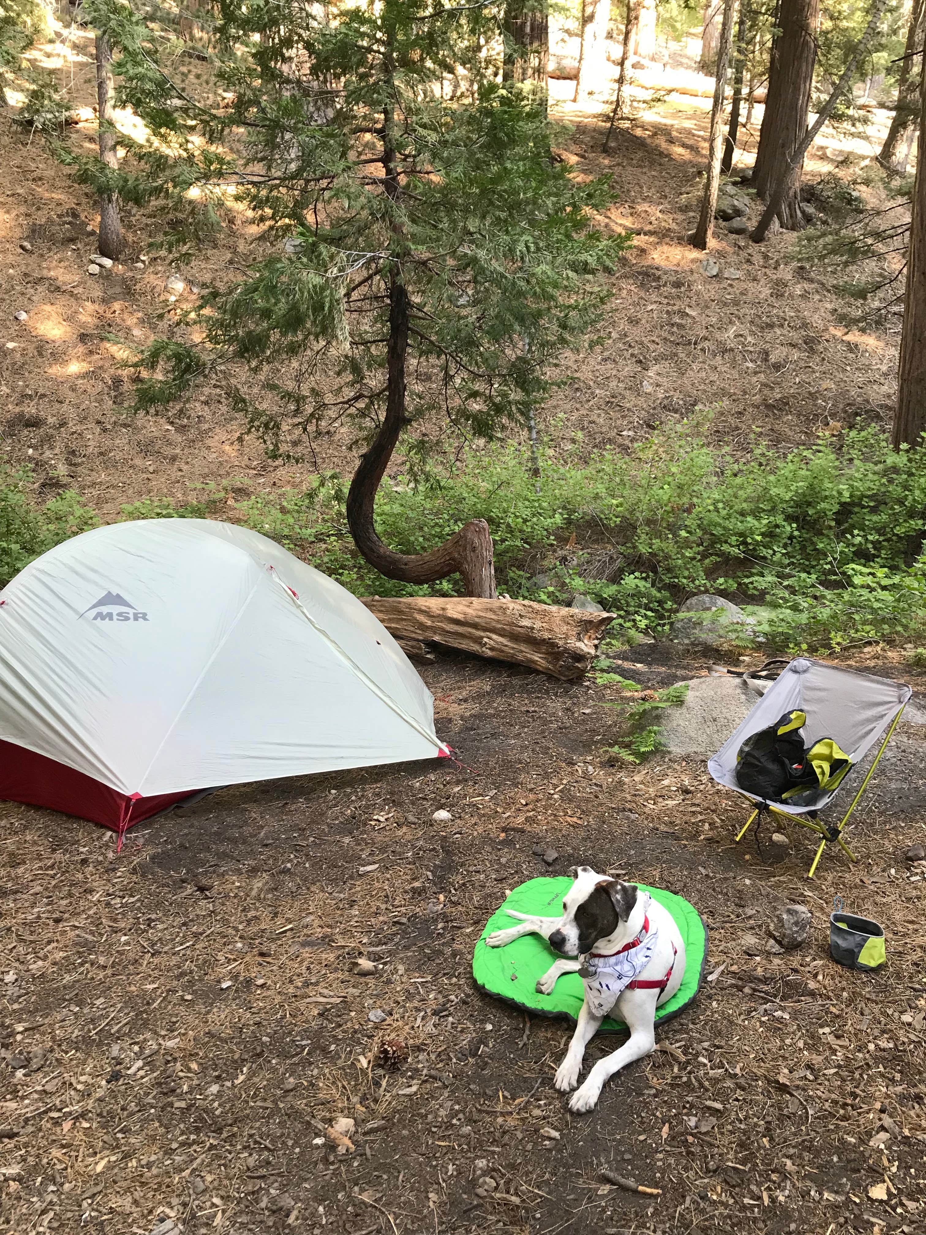 Camper submitted image from Cooper Canyon Trail Camp - 1