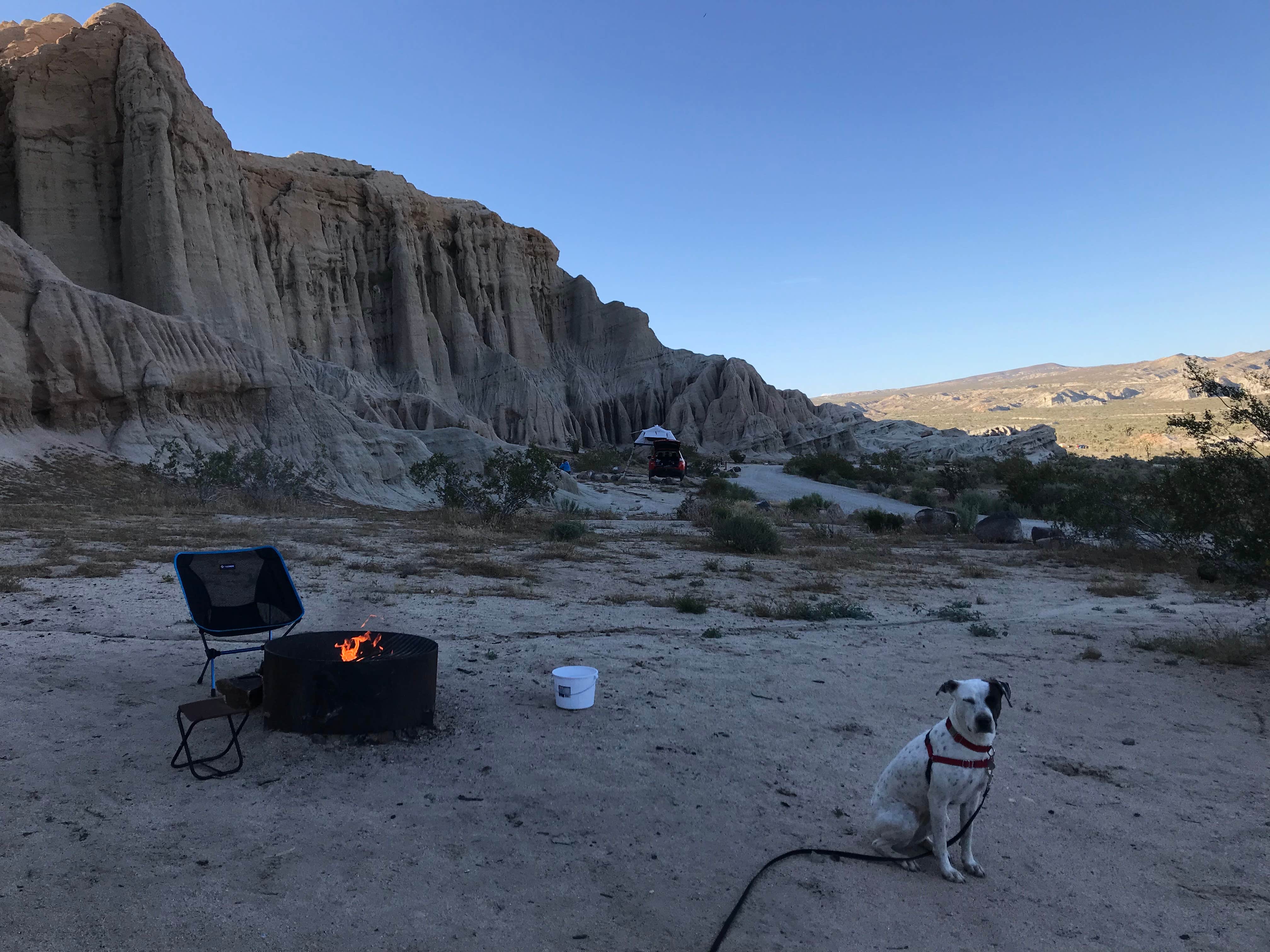 Esther Y.'s photo of camping with pets at Ricardo Campground — Red Rock Canyon State Park near Ridgecrest, CA