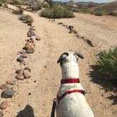 Review photo of Ricardo Campground — Red Rock Canyon State Park by Esther Y., August 8, 2020