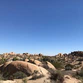 Review photo of Jumbo Rocks Campground — Joshua Tree National Park by Esther Y., August 8, 2020