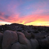 Review photo of Jumbo Rocks Campground — Joshua Tree National Park by Esther Y., August 8, 2020