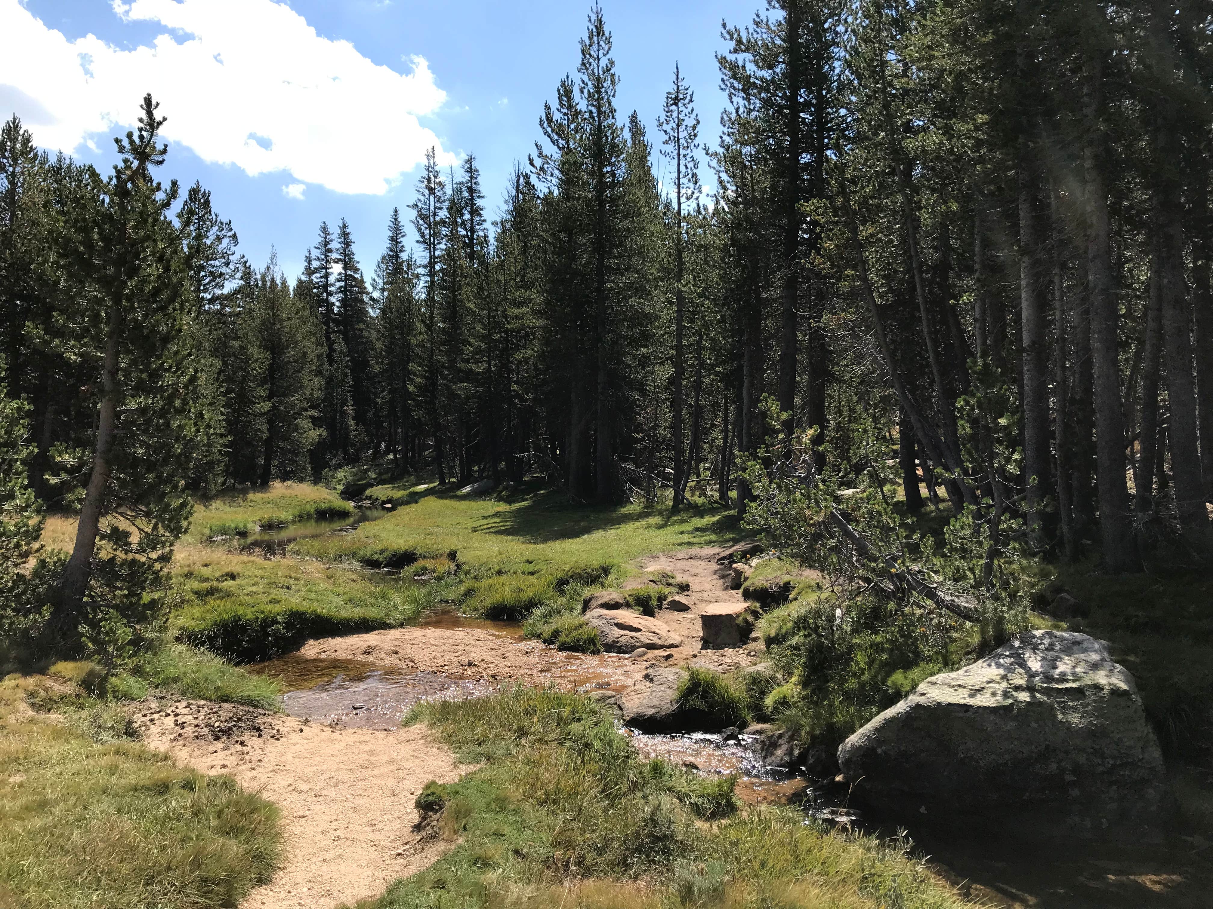 Camping near Saddlebag Lake Campground: Young Lakes Backcountry Camp — Yosemite National Park, Lee Vining, California