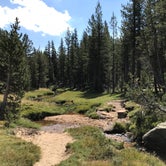 Review photo of Young Lakes Backcountry Camp — Yosemite National Park by Esther Y., August 8, 2020