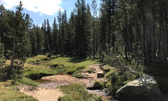 Camping near Tuolumne Meadows Campground — Yosemite National Park: Young Lakes Backcountry Camp — Yosemite National Park, Lee Vining, California
