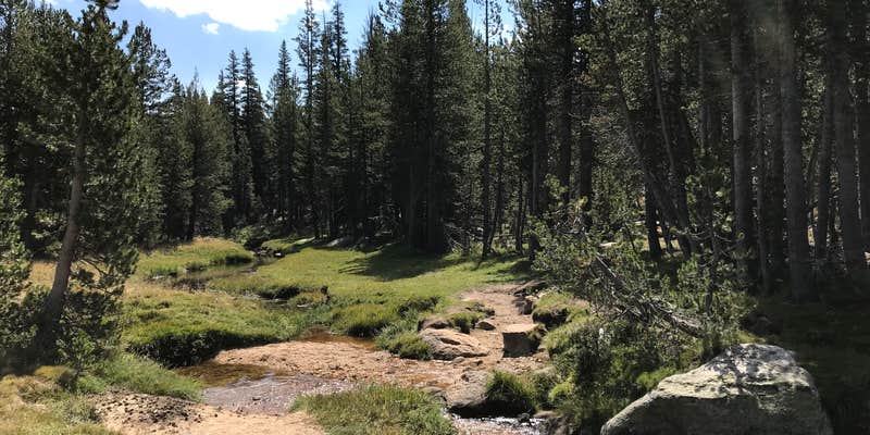 Camper submitted image from Young Lakes Backcountry Camp — Yosemite National Park