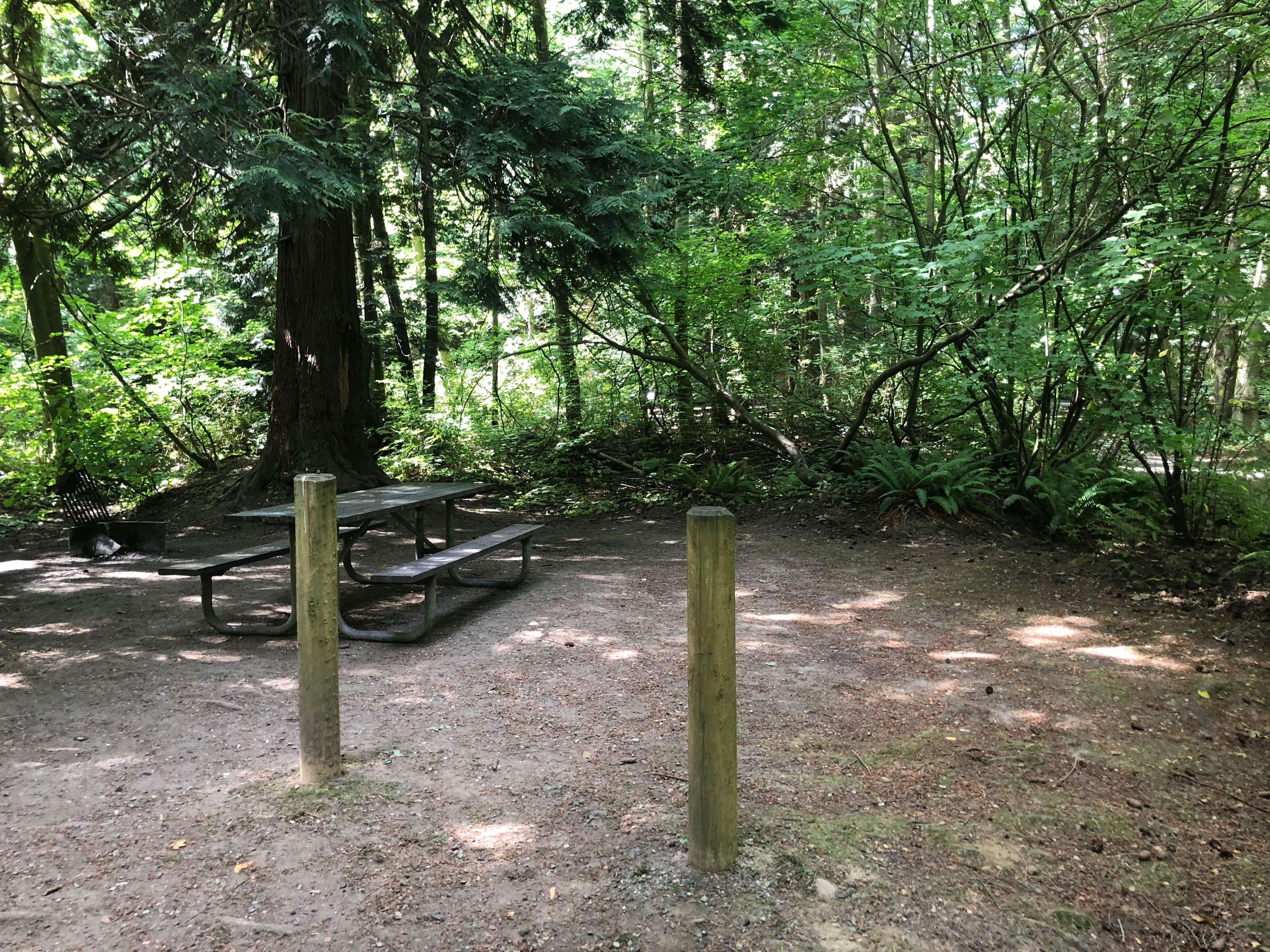 Camper-submitted photo at Birch Bay State Park Campground near Ferndale, WA