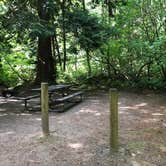 Review photo of Birch Bay State Park Campground by Aletta M., August 8, 2020