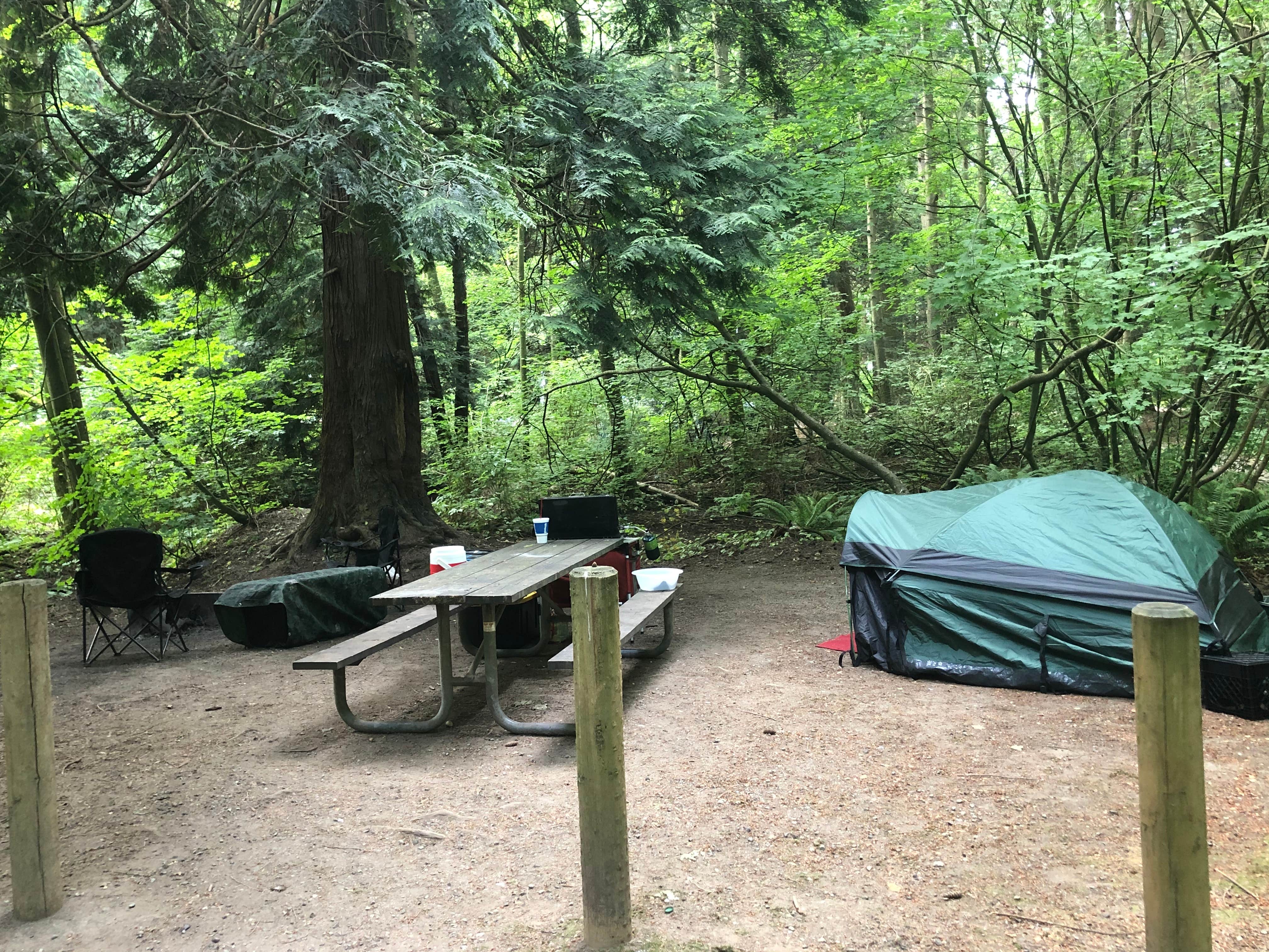 Aletta M.'s photo at Birch Bay State Park Campground near Lynden, WA