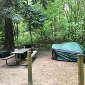 Review photo of Birch Bay State Park Campground by Aletta M., August 8, 2020