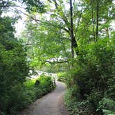 Review photo of Birch Bay State Park Campground by Aletta M., August 8, 2020