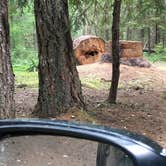 Review photo of Threehorn Campground by Michelle B., August 8, 2020