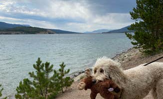 Rebeca H.'s photo of camping with pets at Prospector Campground near Dillon, CO