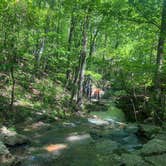 Review photo of Mulberry River Outdoor Adventures by John F., August 8, 2020