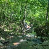 Review photo of Mulberry River Outdoor Adventures  by John F., August 8, 2020