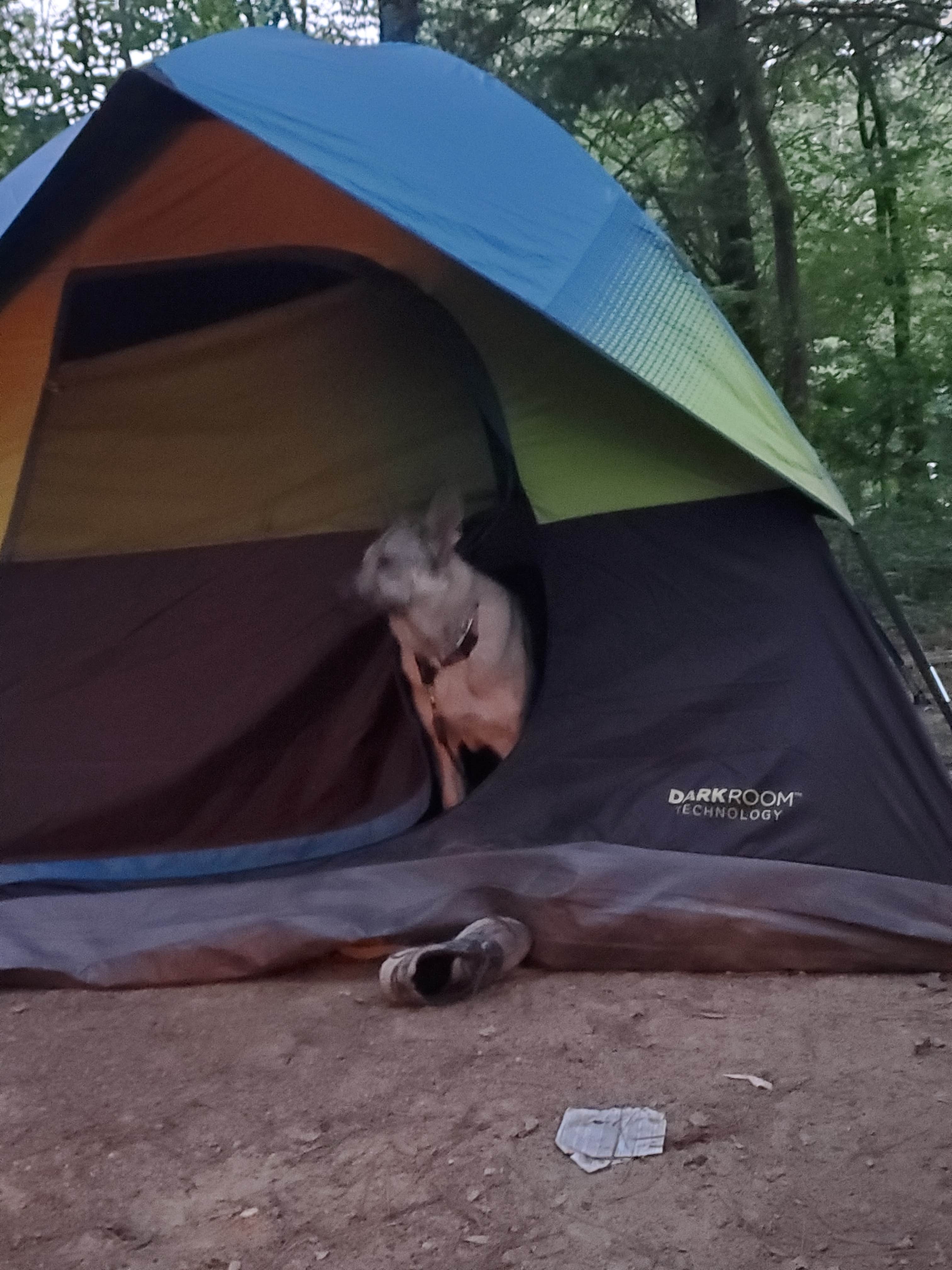 Tye K.'s photo at Backpack Campground — Ferne Clyffe State Park near Jonesboro, IL