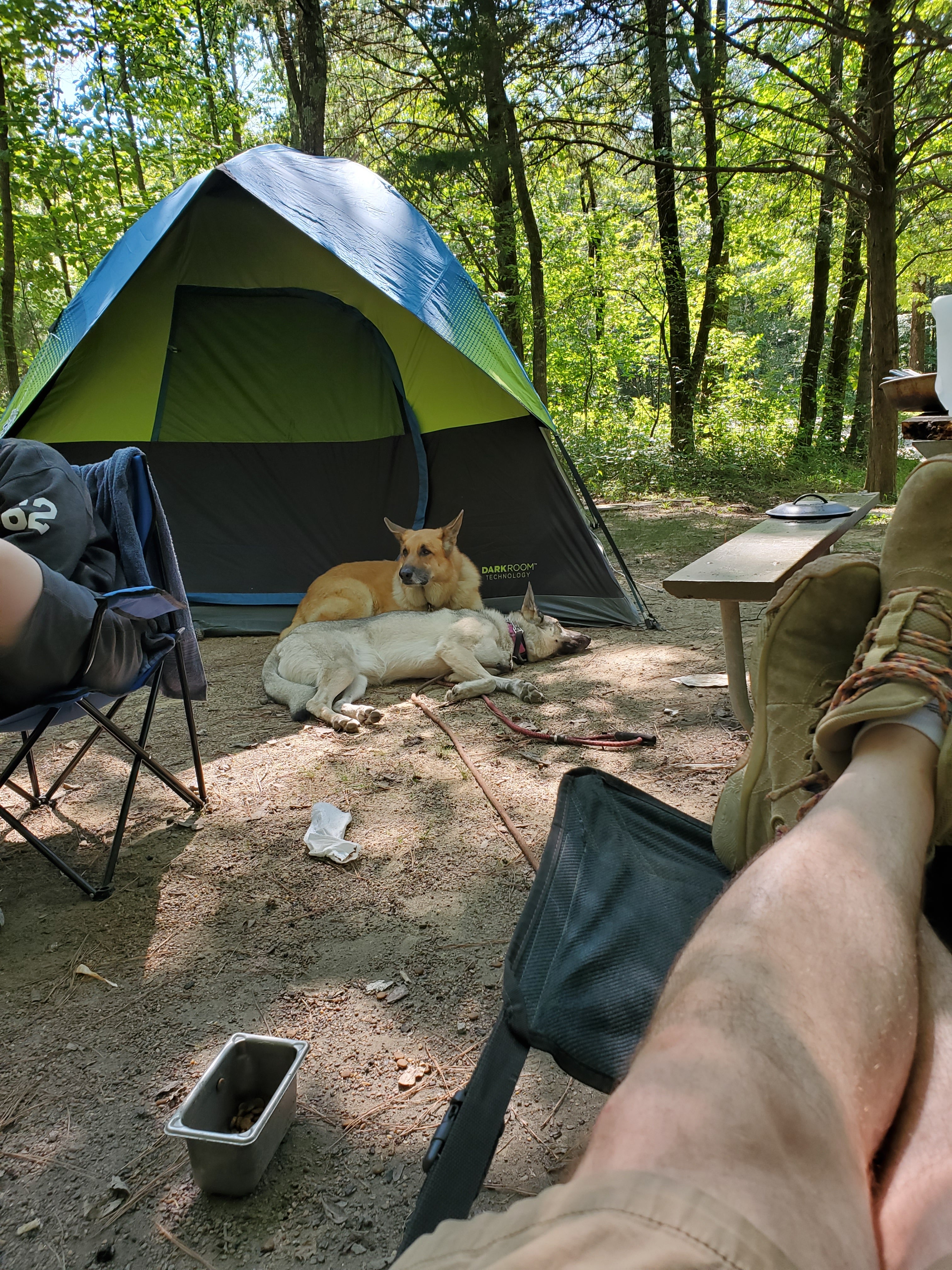 Camper submitted image from Backpack Campground — Ferne Clyffe State Park - 5