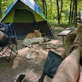Review photo of Backpack Campground — Ferne Clyffe State Park by Tye K., August 8, 2020