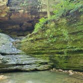 Review photo of Backpack Campground — Ferne Clyffe State Park by Tye K., August 8, 2020