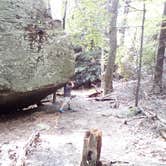 Review photo of Coopers Rock State Forest by Lindsay W., April 19, 2018