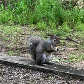 Review photo of Devil's Den State Park Campground by John F., August 8, 2020