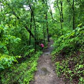 Review photo of Devil's Den State Park Campground by John F., August 8, 2020