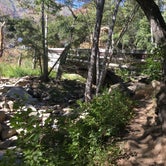 Review photo of Holiday Group Campground by Anthony O., August 8, 2020