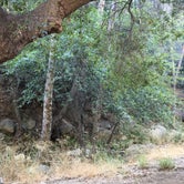 Review photo of Holiday Group Campground by Anthony O., August 8, 2020