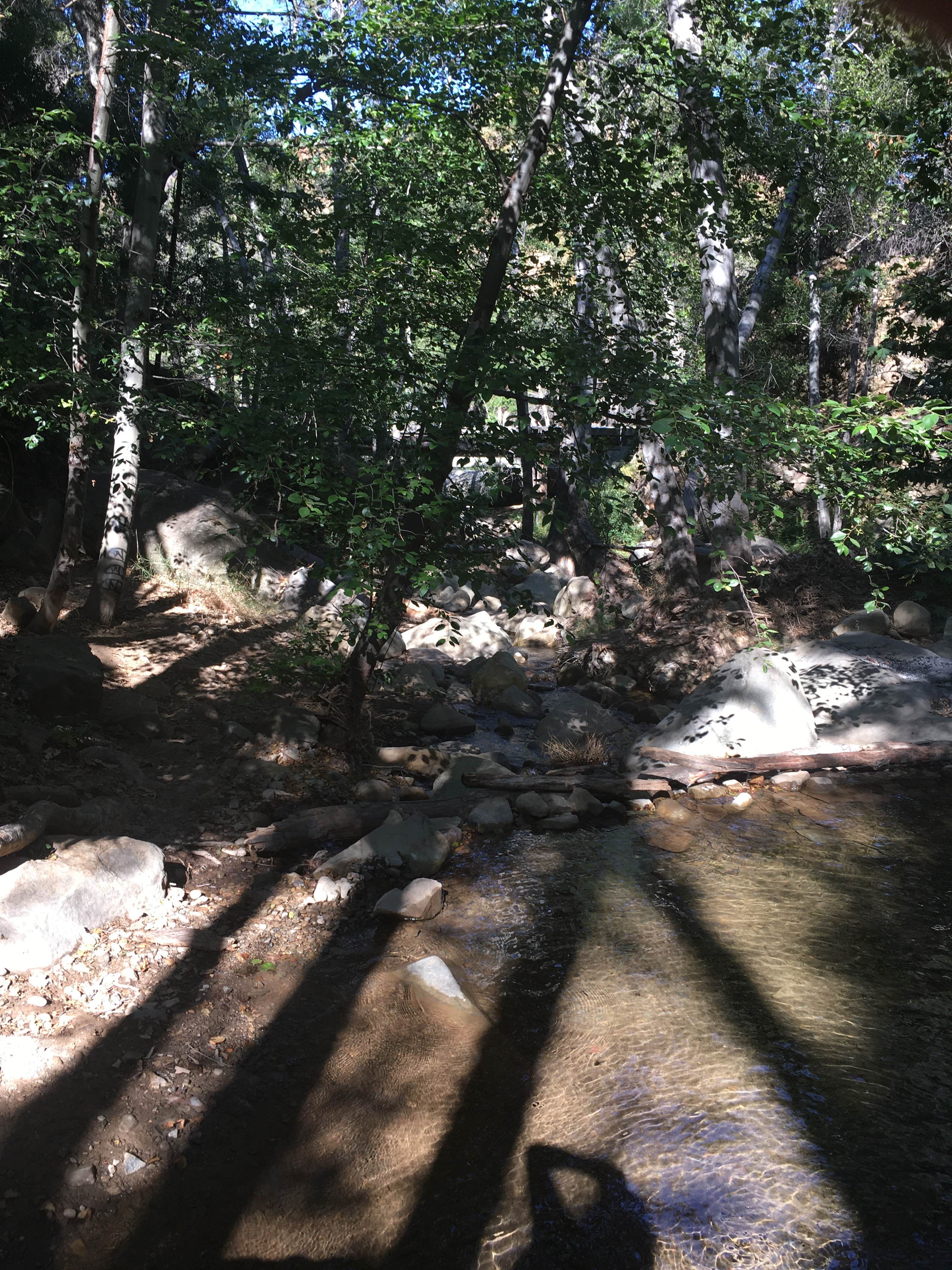 Camper-submitted photo at Holiday Group Campground near Ojai, CA