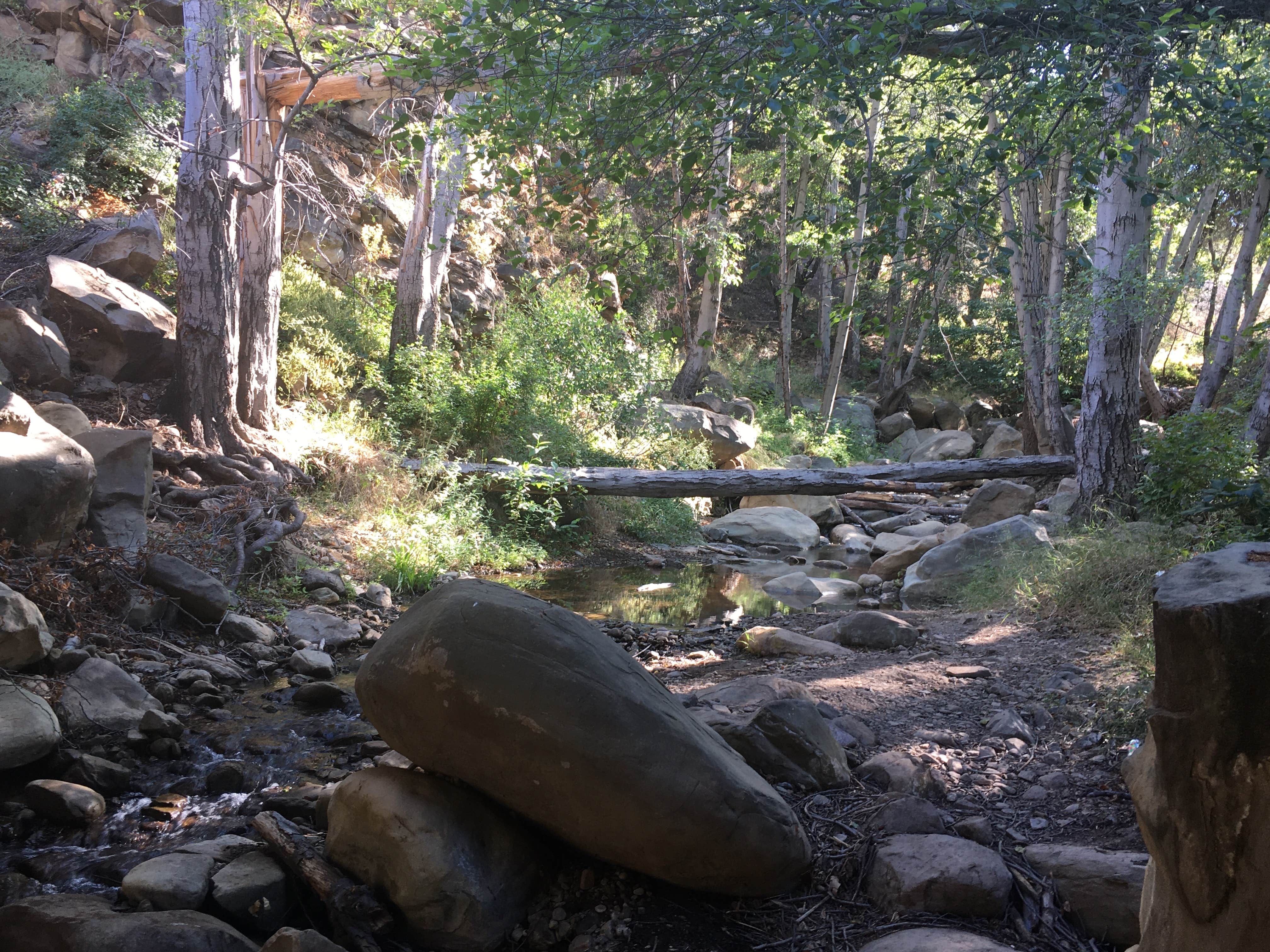 Camper-submitted photo at Holiday Group Campground near Ojai, CA